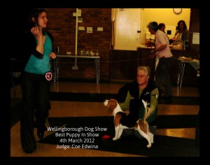 1 Wellingborough Dog Show