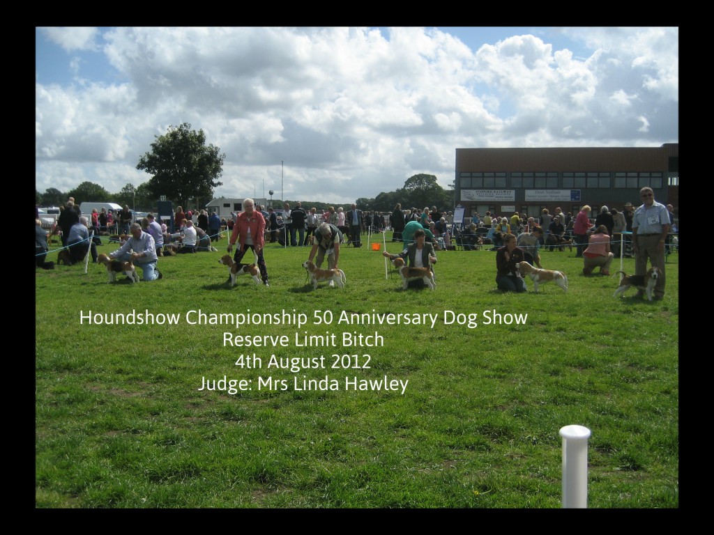 Houndshow 1